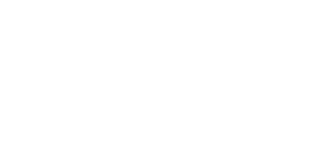 dvs-log-blanco